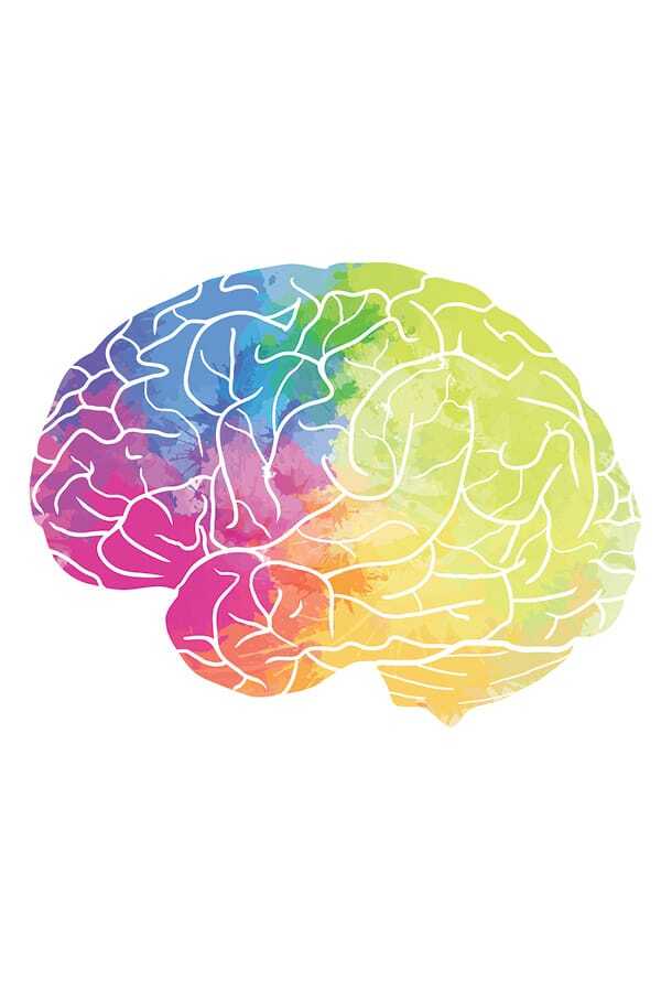 NEUROARTS CONFERENCE